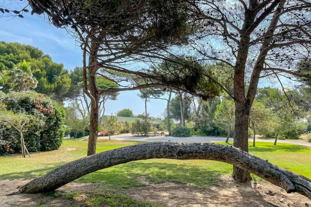 Appartement En Residence Privee, Face A La Mer Avec Acces Direct Plage Hyères Exterior foto